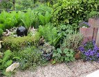 © Regina Bliss - Parzelle auf dem Stadtwerder, Wir haben einen sogenanntenBauerngarten mit Obst, Gemüse und viel Rosen usw.